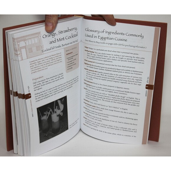 Signed NILE STYLE: Egyptian Cuisine and Culture By Amy Riolo - HC/DJ Cookbook - Picture 12 of 12